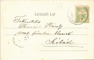 1905 Balatonföldvár, Csesznák nyaraló, villa. Erdényi Ignác fényképészeti műterme (fl)