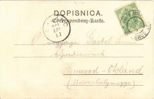 1904 Brod, Bosanski Brod; Dzamija / Moschee / mosque