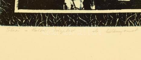 Egresi Zsuzsa (1954-): Érkezés a Holtak szigetére, 1981. Színes rézkarc, papír, jelzett. Különnyomat...