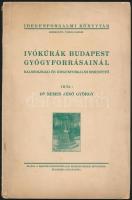 Nemes Jenő György: Ivókúrák Budapest gyógyforrásainál. Balneológiai és idegenforgalmi ismertető. Idegenforgalmi Könyvtár. Bp.,én.,Magyar Idegenforgalmi Érdekeltségek Szövetsége, 42+2 p. Kiadói papírkötés.