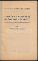 Nemes Jenő György: Ivókúrák Budapest gyógyforrásainál. Balneológiai és idegenforgalmi ismertető. Ide...