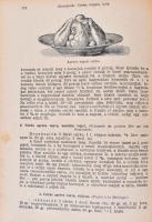 [Kugler Henrik (1830-1905)]  Kugler Géza: A legújabb és legteljesebb gyakorlati nagy budapesti szaká...