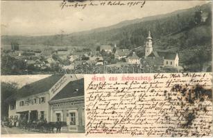 1900 Schwanberg, Alois Häupel Gasthaus und Fleischerei / hotel, restaurant and butcher shop (EK)