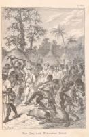 Sophie Wörishöffer: Das Naturforscherschiff oder Fahrt der jungen Hamburger mit der ,,Hammonia"...