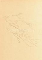 Signor Saltarino: Artisten-Lexikon. Düsseldorf, 1895, Ed. Lintz. 2. javított és bővített kiadás. Ném...