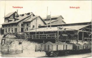 1907 Tatabánya, Briket gyár, iparvasút tehervagonokkal