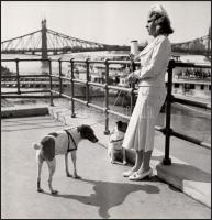 cca 1930 Uriasszony Budapesten a Ferenc József hídnál, kutyákkal Jelzetlen vintage fotó 25x25 cm