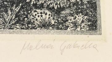 Molnár Gabriella (1940-): Épül a bárka. Rézkarc, papír, jelzett, számozott (76/100), üvegezett fa ke...