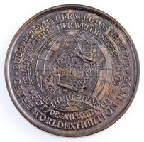 Bozó Gyula (1913-2004) 1990. "Budapest-Bécs Világkiállítás 1995" kétoldalas Ag érem, perem...