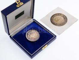 Bozó Gyula (1913-2004) 1990. "Budapest-Bécs Világkiállítás 1995" kétoldalas Ag érem, perem...