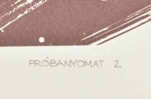 Sárkány Győző (1951-): Légvonal II., 1995. Szitanyomat (szerigráfia), papír, jelzett, próbanyomat 2....