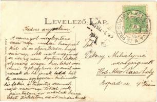 Dicsőszentmárton, Tarnaveni, Diciosanmartin; Vármegyeháza. Adler Arthur / county hall + "SÓVÁRA...