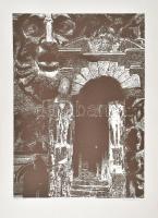 Wellisch Tehel Judit (1931-): A rejtély kapuja, a kapu rejtélye (cím nélkül). Szitanyomat (szerigráfia), papír, jelzett, számozott: 19/20. 70×50 cm