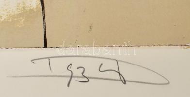 Dús László (1941-): Kitörés (cím nélkül). Szitanyomat, papír, jelzett, számozott: HC II/II. 64×89 cm