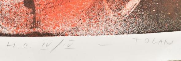 Tolan, Vasile (1953-): H14/05.02.93. Litográfia, papír, jelzett, HC IV/IV számozással. 100x70 cm / L...