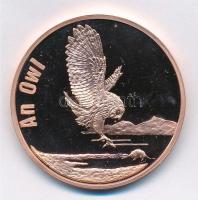 Észak-Korea 2007. 20W sárgaréz Bagoly T:1- (PP) ujjlenyomatos North-Korea 2007. 20 Won Brass Owl C:AU (PP) fingerprint