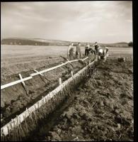cca 1970 Tokaj, 29 db vintage NEGATÍV Kotnyek Antal (1921-1990) budapesti fotóriporter hagyatékából,...