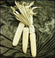 cca 1950 és cca 1970 között készült felvételek változatos témákról (bányában használt mozdony és csi...