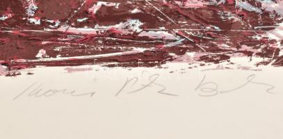 Kovács Péter Balázs (1955-): Trip, 1994. Szitanyomat, papír, jelzett, HC III/III számozással. Lapmér...