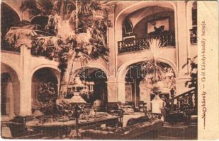 1917 Nagykároly, Carei; Gróf Károlyi kastély, belső. Eigner Simon iadása / castle, interior (EB)