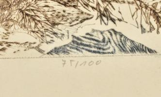 Reich Károly (1922-1988): Őszi éj. Színes rézkarc, papír, jelzett, számozott: 75/100. 29×39 cm