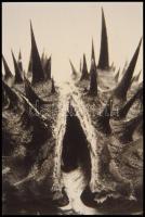 cca 1985 Humoros fényképek c. előadáshoz gyűjtött illusztrációk, Vincze János (1922-1999) kecskeméti...