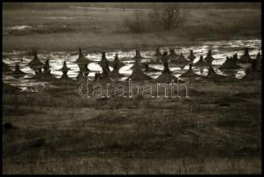 cca 1970 Velence feliratú csomagolásból 18 db vintage NEGATÍV, Magyar Alfréd budapesti fotóművész fe...