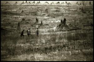 cca 1970 Velence feliratú csomagolásból 18 db vintage NEGATÍV, Magyar Alfréd budapesti fotóművész fe...