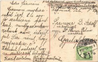 1916 Obrázsa, Obreja; Wesselényi kastély, csónak. Maksay fényképész / castle, boat  (EB)