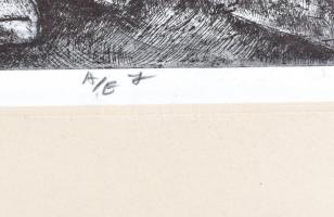 Rádóczy Gyarmathy Gábor (1943-): A kékszakállú herceg vára. Rézkarc, papír. Jelzett. Művészpéldány A...