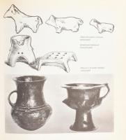 László Gyula: Vértesszőlőstől pusztaszerig. Élet a Kárpát-medencében a magyar államalapításig. Bp., ...