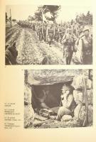 Magyarország hadtörténete I-II. kötet. Szerk.: Liptai Ervin, Borus József, Tóth Sándor. Hadtörténeti...