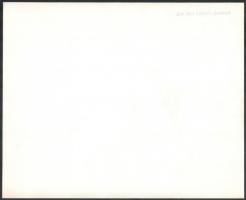 cca 1935 Kinszki Imre (1901-1945) budapesti fotóművész hagyatékából pecséttel jelzett, nagyméretű fo...