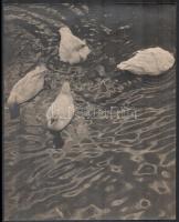 cca 1933 Kinszki Imre (1901-1945) budapesti fotóművész hagyatékából pecséttel jelzett, nagyméretű fotóművészeti alkotás (Négy kacsa), 28,5x22,5 cm