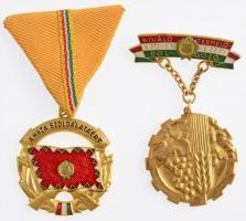 1964. A Haza Szolgálatáért Érdemérem arany fokozat zománcozott aranyozott Br kitüntetés + ~1970. Kiváló Termelőszövetkezeti Dolgozó aranyozott, műgyantás kitüntető jelvény T:1-,2