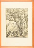 Bojtos Károly (1936-2011): Öreg fa. Rézkarc, papír, jelzett. Üvegezett fa keretben. 38,5x29,5 cm