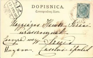 1904 Dubrovnik, Ragusa; Hotel Imperiale (EK)