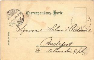 1900 Abbazia, Opatija; Strandweg / beach promenade. Verlag v. G. Rüger & Co. (EK)