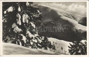 Kőrösmező, Yasinia, Yasinya, Jaszinya, Jassinja, Jasina; Sesul / hegy télen / mountain in winter