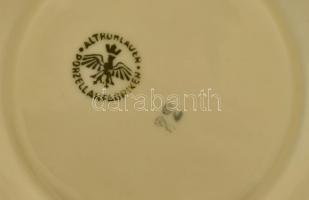 Rohlau teás készlet dupla kiöntőkkel, hat személyes. Matricás, jelzett, hibátlan