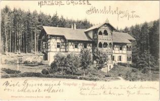 1904 Tátra, Tatry; Virágvölgy, Blumental, Kvetnica; szálloda, nyaraló / hotel, villa