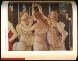 László Gyula: Botticelli. 1445-1510. Bp., 1959., Képzőművészeti Alap. Kiadói papírkötésben.  

A s...