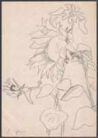 Papp Oszkár (1925-2011): Napraforgó, 1974 (cím nélkül). Ceruza, papír, jelezve balra lent. 29,5×21 cm