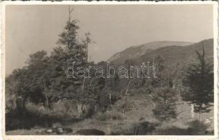 1943 Felsőbánya, Baia Sprie; kilátás a Rozsályra / Varful Ignis / mountain peak