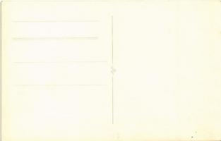 Barcarozsnyó, Rozsnyó, Rosenau, Rasnov; Rosenauer Burg / várrom / castle ruins. photo