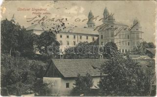 1907 Ungvár, Uzshorod, Uzhhorod, Uzhorod; Püspöki palota. Steinfeld Dezső kiadása / bishops palace (EM)