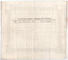 Budapest 1893. "Kassa-Somodi Kőszénbánya-Részvénytársaság" ideiglenes elismervénye fél rés...