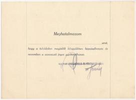 Budapest 1947. "Magyar Leszámítoló és Pénzváltó-Bank" igazolványa a Bajai Kereskedelmi és ...