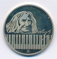 Fülöp Zoltán (1951-) 1986. 175 éve született Doborjánban Liszt Ferenc - 100 éve nyugszik a Bayreuthi temetőben fém emlékérem (32mm) T:1- (eredetileg PP)