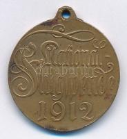 Német Birodalom 1912. Nemzeti Repülőalap kétoldalas Br medál füllel (27mm) T:2 German Empire 1912. Nationalflugspende two-sided Br medalion with ear (27mm) C:XF